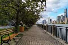 2019-New-York-17