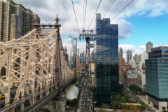2019-New-York-18