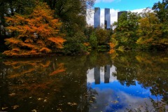 2019-New-York-19