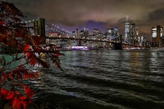 2019-New-York-26