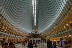 2019-New-York-29