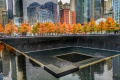 2019-New-York-33