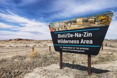 003-Bisti-De-Na-Zin