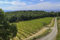 2020-Val-dOrcia-11