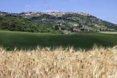2020-Val-dOrcia-13