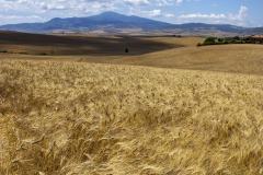 2020-Val-dOrcia-21