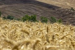 2020-Val-dOrcia-4