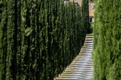 2020-Val-dOrcia-56