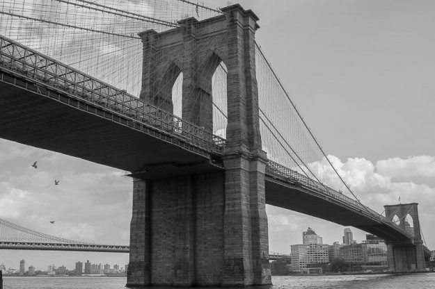 NYC-101